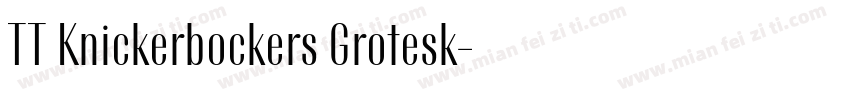 TT Knickerbockers Grotesk字体转换